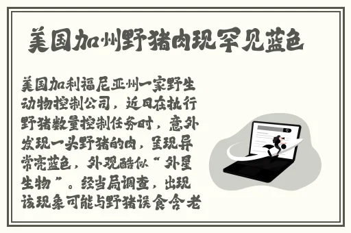 五一吃瓜必吃大瓜fun